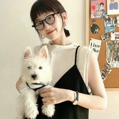 我的小狮王